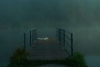 水体上的棕色木质船坞